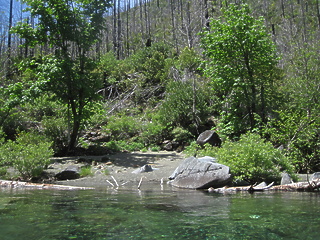 Chetco River Kalmiopsis Wilderness OR