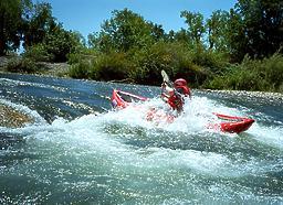 American River Parkway CA