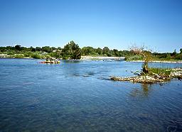 American River Parkway CA