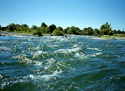 American River Parkway CA