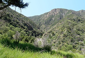 Arroyo Seco CA low