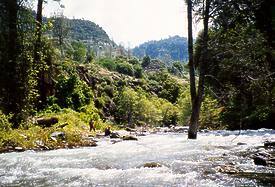 South Fork Battle Creek CA