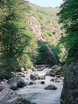 Big Sur River CA