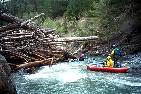 Black Butte River CA