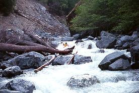 Black Butte River CA