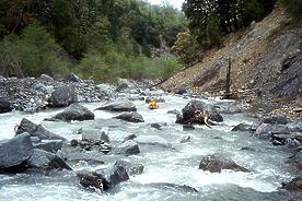 Black Butte River CA