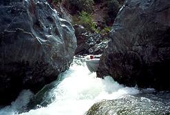 Trinity River Burnt Ranch Gorge CA