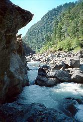 Trinity River Burnt Ranch Gorge CA