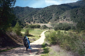 upper Carmel River CA