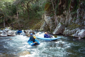 upper Carmel River CA