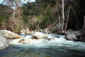 upper Carmel River CA