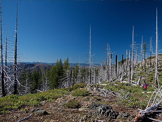 Chetco River Kalmiopsis Wilderness OR