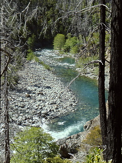 Chetco River Kalmiopsis Wilderness OR