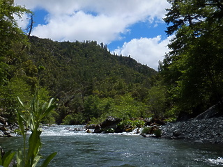 Chetco River OR