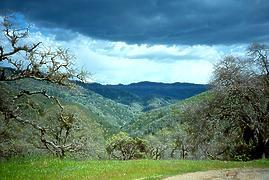 Coyote Creek Henry Coe CA