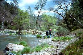 Coyote Creek Henry Coe CA