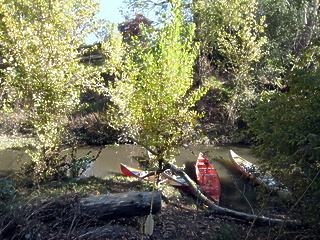 Coyote Creek San Jose CA