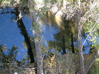 Coyote Creek San Jose CA