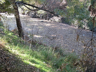 Coyote Creek San Jose CA