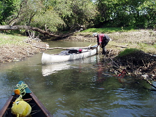 Coyote Creek San Jose CA