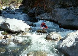 Eel River below Pillsbury CA