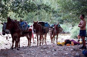 Forks of the Kern River CA