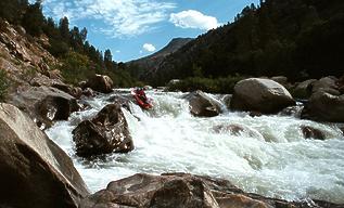 Forks of Kern CA