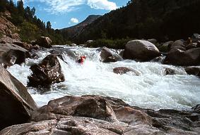 Forks of Kern CA