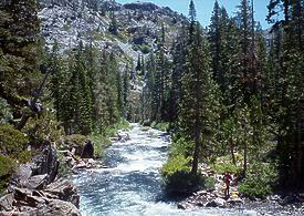 Fordyce Creek CA