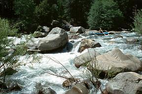 Forks of the Kern River CA