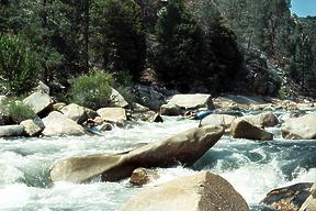 Forks of the Kern River CA