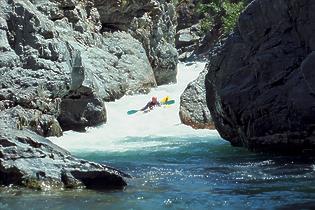 North Fork American Giant Gap CA