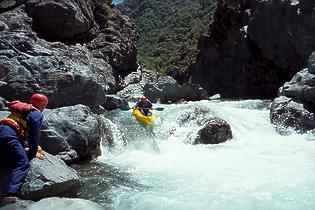 North Fork American Giant Gap CA