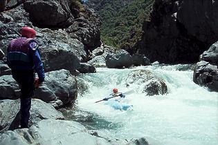 North Fork American Giant Gap CA