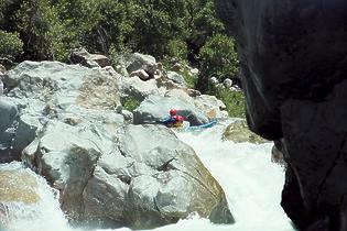 North Fork American Giant Gap CA