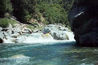 North Fork American Giant Gap CA