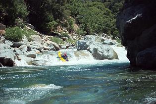 North Fork American Giant Gap CA