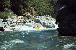 North Fork American Giant Gap CA