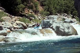 North Fork American Giant Gap CA