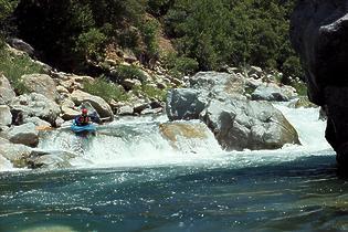 North Fork American Giant Gap CA