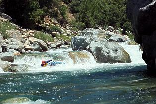 North Fork American Giant Gap CA