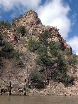 Gila NM Wilderness