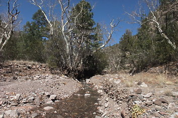 Gila NM Wilderness