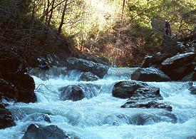 Goose Creek into Smith River CA