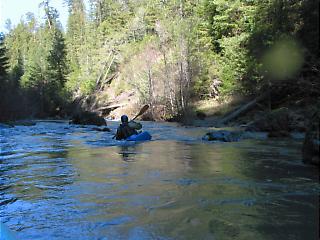 South Fork Gualala River CA