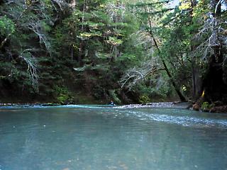 South Fork Gualala River CA