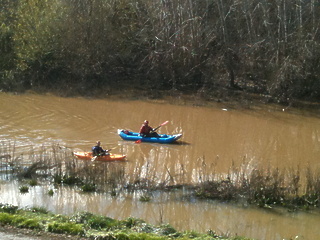 Guadalupe River CA