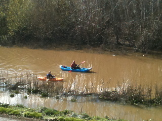 Guadalupe River CA