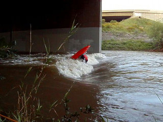 Guadalupe River CA