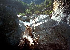 Lower Hayfork Creek CA